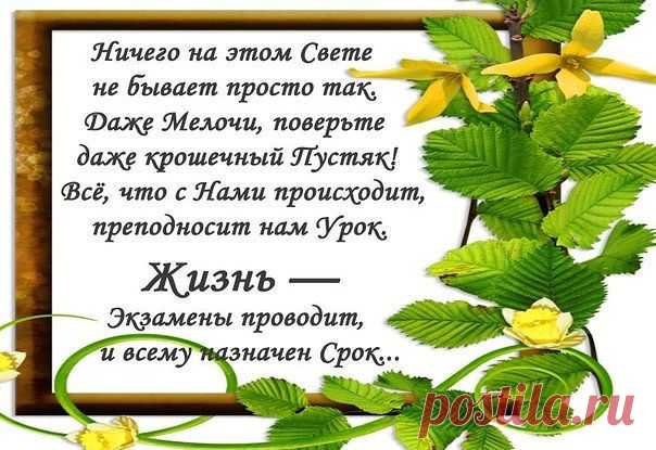 T-ヤシ美 M
Россия, Москва