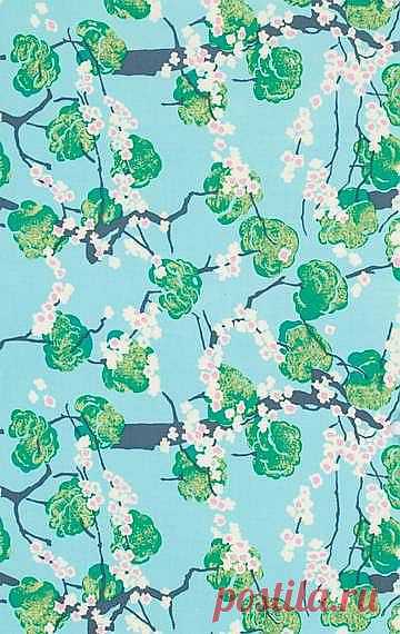 Fairy Tale sky   --- Product Detail