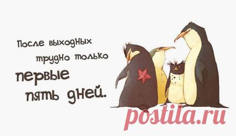 Открытки с интересными мыслями