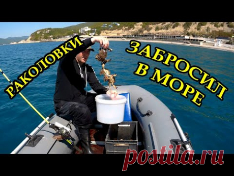 Раколовки.  Забросил раколовки в море, наловил крабов и рыбу.