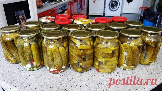 Огурцы на зиму. Без уксуса, без кипятка, без сахара! Квашеные огурцы холодным способом получаются очень вкусными и ароматными. Секрет рецепта – хороший сорт огурцов, не салатный. Для приготовления вам потребуются такие ингредиенты: — огурцы; — зелень та,...