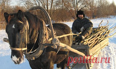 КТО В ЛЕСУ ХОЗЯИН?

ДОЖИЛИСЬ! В РФ вводят уголовную ответственность за сбор дров в лесу. На очереди сбор грибов, ягод, лекарственных трав...

Письмом от 25 февраля 2016 года № ЕК-07-54/1985 Рослесхоз разъяснил органам управления лесами субъектов РФ и своим территориальным органам, что присвоение находящейся на землях лесного фонда древесины ветровальных и буреломных деревьев следует рассматривать как хищение.

Это означает, что любой человек, нарубивший или напиливший, нап...