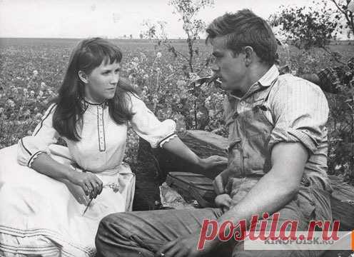 К востоку от рая