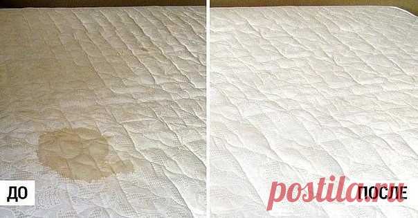 17 непрочитанных чатов