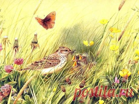 marjolein bastin картинки - 1 710 картинок. Поиск Mail.Ru
