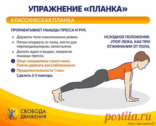 5 вариаций упражнения планка для тренировки всего тела