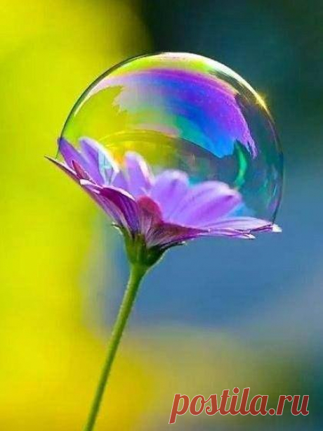 (2) Facebook