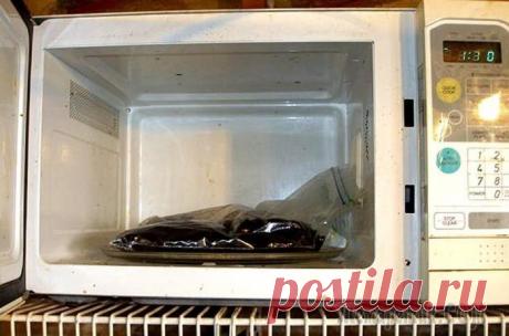 Зачем греть почву в микроволновке, или 10 способностей печки, которые пригодятся в быту Микроволновая печь есть практически в каждом доме и офисе. В ней удобно разогревать, размораживать еду и даже готовить элементарные блюда.
Однако это далеко не все, на что способен бытовой прибор.
Чит...