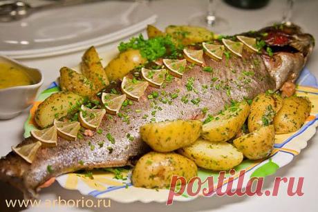 Запеченная форель - 4 вкусных рецепта -