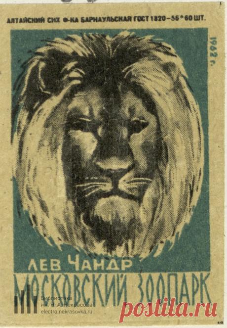 Лев Чандр