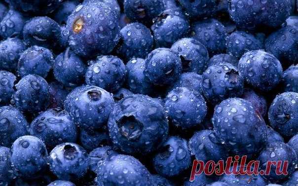 ТОП 10 Самых полезных продуктов для продления жизни / Взлом логики