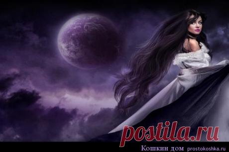 Лунный календарь стрижки волос на октябрь 2016 год | Кошкин дом