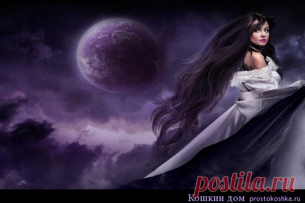 Лунный календарь стрижки волос на октябрь 2016 год | Кошкин дом