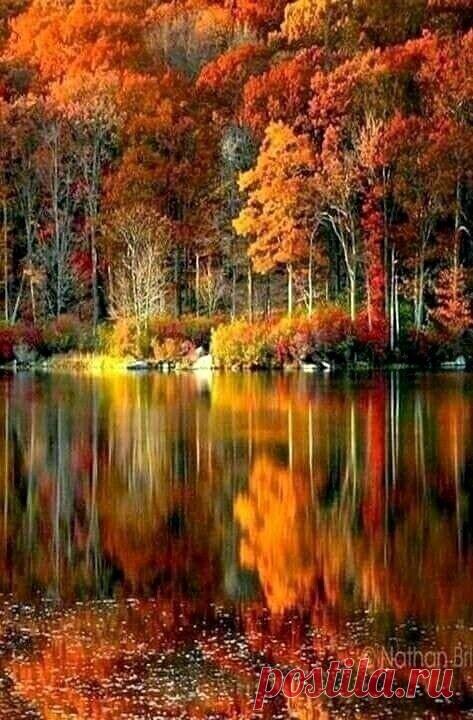 КРАСКИ ОТРАЖЕНИЯ ОСЕНИ