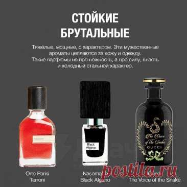 Самые стойкие ароматы, которые держатся очень долго: в Сети собрали подборку самых «живучих» духов и туалетной воды.
Хотите запах, который держится больше суток и не становится слабее? Забудьте про лёгкие туалетные воды: вот духи, которые остаются на вашей коже, одежде и в памяти.
Цены там, конечно — моё почтение, но красота, как известно, требует жертв...
Смотреть ароматы https://everlasting-cat.livejournal.com/493922.html
#красота #парфюм