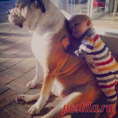 Думаешь,дети не должны иметь животных?Взгляни на эту фотографию!