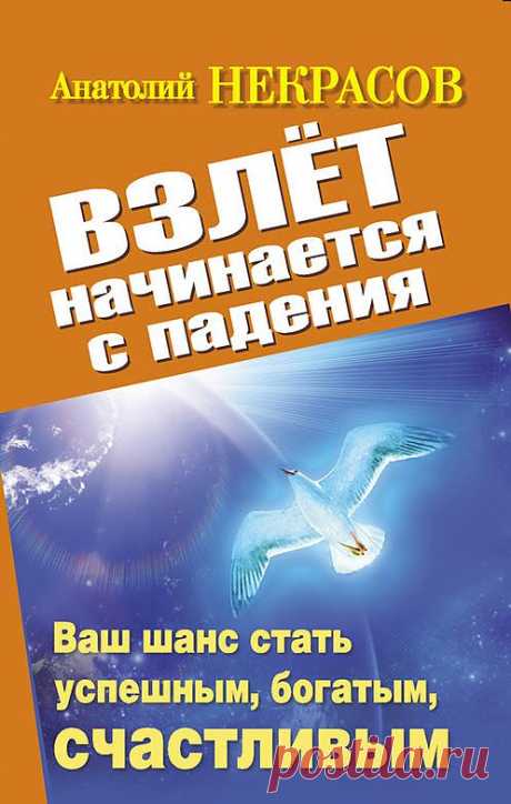 АНАТОЛИЙ НЕКРАСОВ -ВЗЛЁТ НАЧИНАЕТСЯ С ПАДЕНИЯ. Учебник жизни в условиях кризиса.