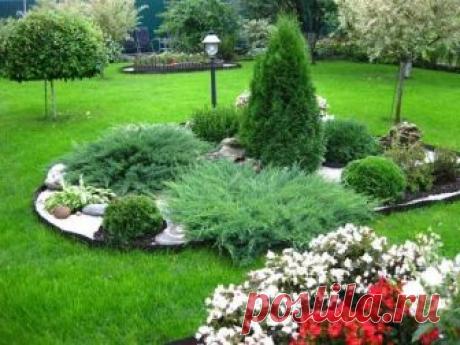 Как сделать миксбордер из хвойных кустарников: готовые схемы цветников - АгрономWiki