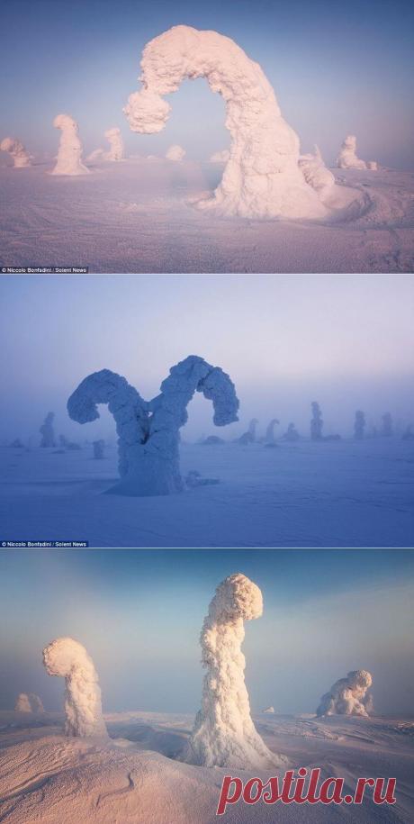 Снежные скульптуры.