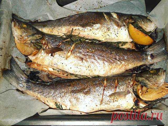 Сибас, запечённый с ароматными травами.