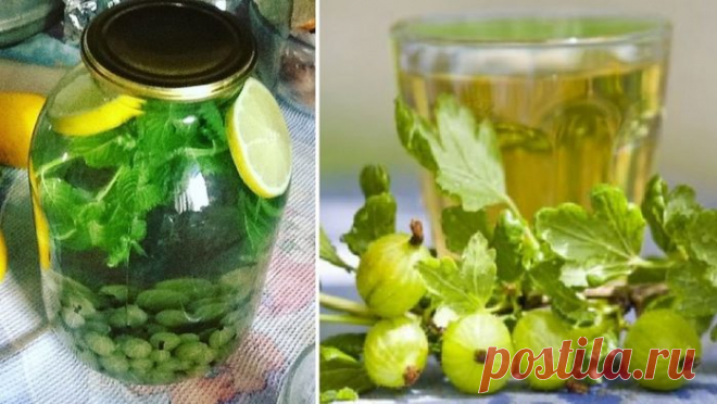 Компот 