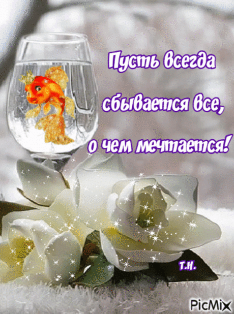Желаю света, процветания
И радостных событий много.
Пусть исполняются желания,
Пусть будет легкою дорога!