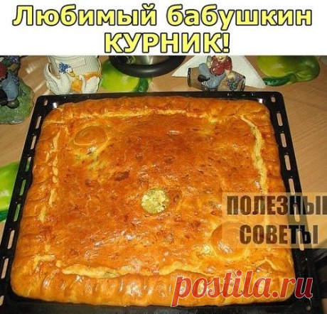 ЛЮБИМЫЙ БАБУШКИН КУРНИК!