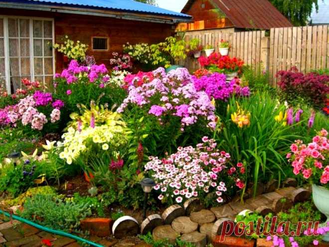 Клумба для ленивых