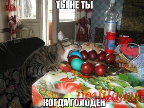 Диалоги