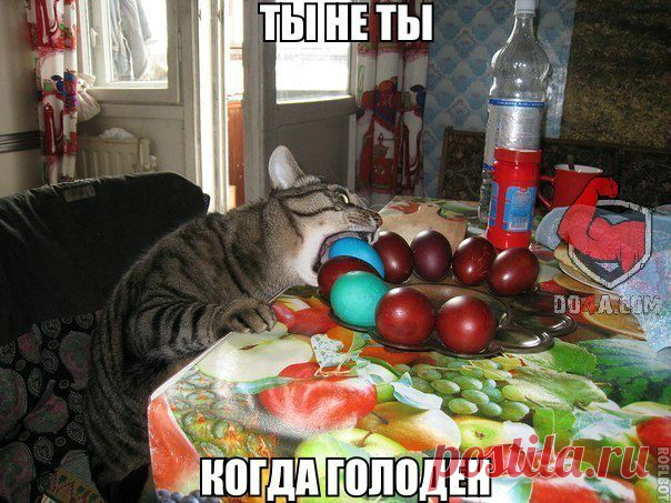 Диалоги