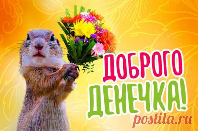 Доброго денечка картинки, красивые и прикольные открытки с пожеланием