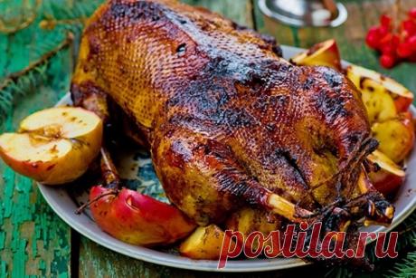 Праздничный гусь: все тонкости запекания
Когда в праздники в доме собирается много гостей, один из лучших вариантов главного блюда – это запеченный гусь. Во-первых, он достаточно большой, чтобы хватило на внушительную компания, во-вторы…