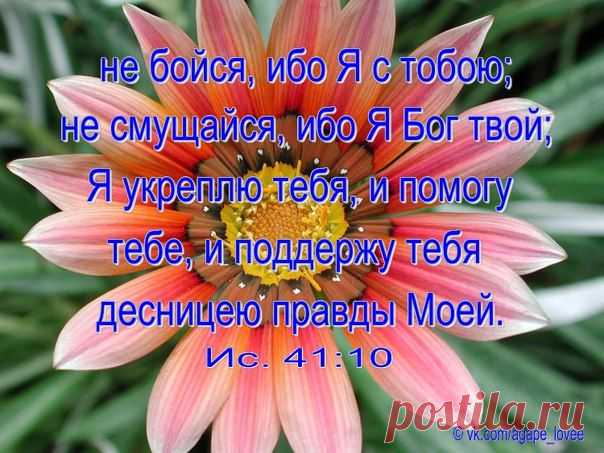 ♥...Агапэ...♥