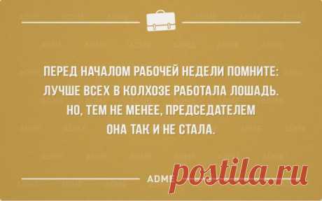 (+1) тема - 25 «аткрыток» про трудоголиков | Полезные советы