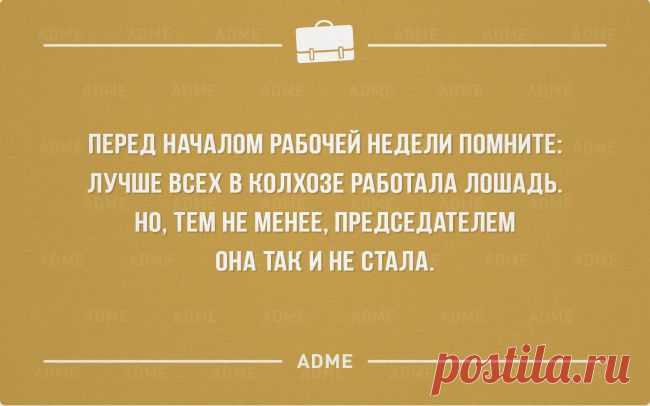 (+1) тема - 25 «аткрыток» про трудоголиков | Полезные советы