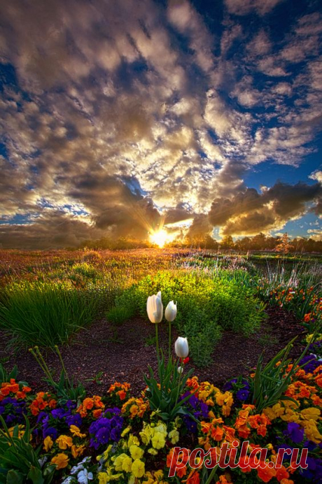 brahlamriuniverde:
“ 500px.com
”