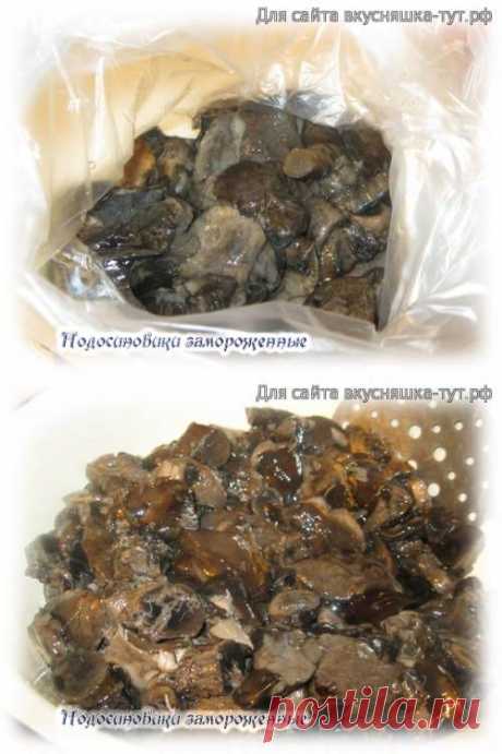 Подосиновики замороженные - Готовим сами