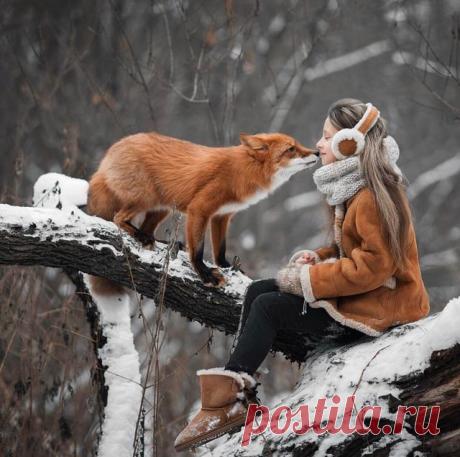 Сплошной позитив. Не верите? А вы попробуйте посмотреть на этих милашек, не улыбнувшись. То-то же! Животные -  милашки и лапусики. Не верите? А вы попробуйте посмотреть на щеночка или котёнка, не улыбнувшись. То-то же. А вот вам ещё несколько фото очаровательных зверюшек для того, чтобы вы окончательно в этом убедились.
Зимняя лисичка

"Это Минни. Она говорит «привет»"

"Это мой новый щенок