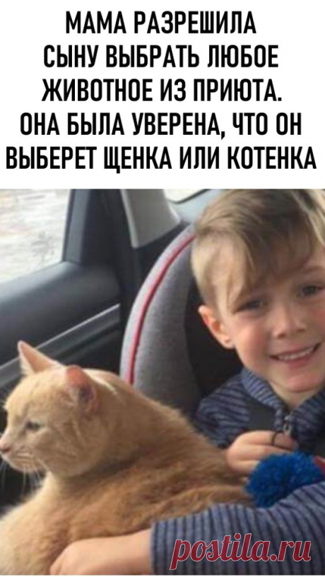 Мама разрешила сыну выбрать любое животное из приюта. Она была уверена, что он выберет щенка или котенка