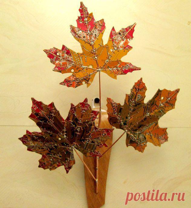 (+1) тема - Куда деть старую электронику? | Полезные советы