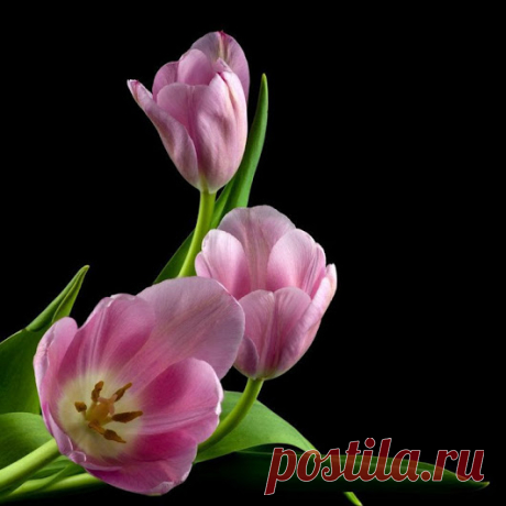 Google+