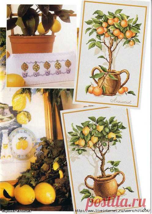 Цитрусовые деревья