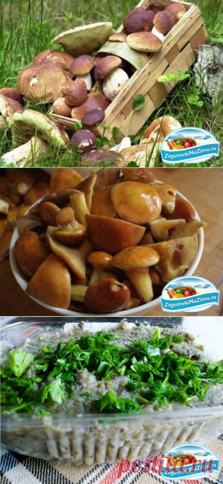 Грибные заготовки