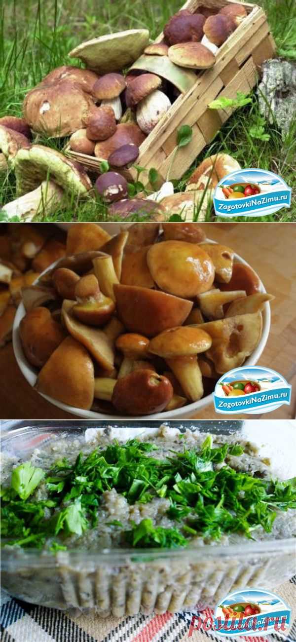 Грибные заготовки