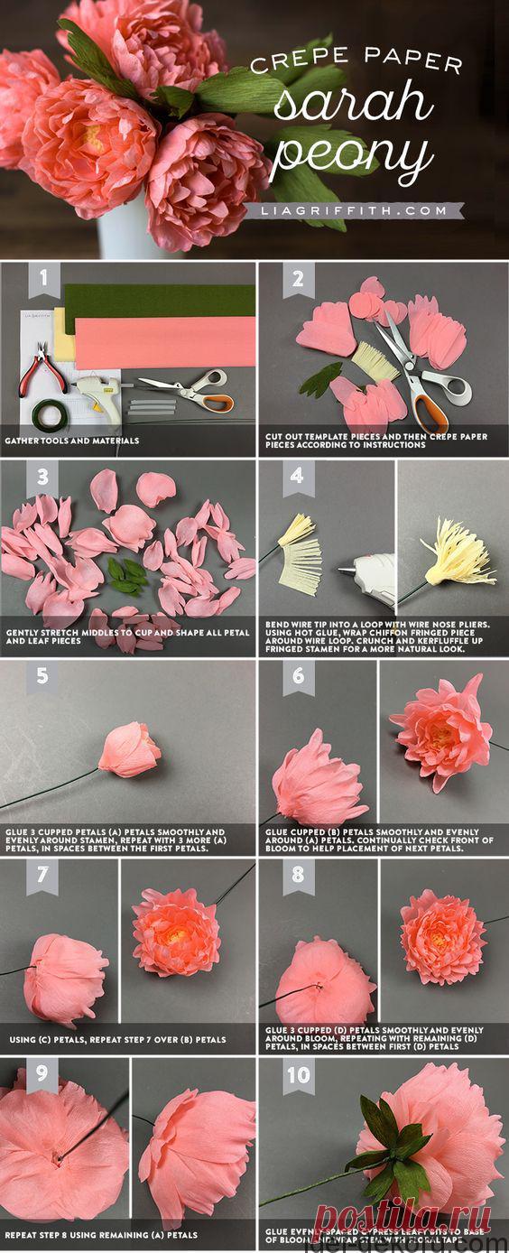 Паперові квіти(14 майстер-класів) | Ідеї декору