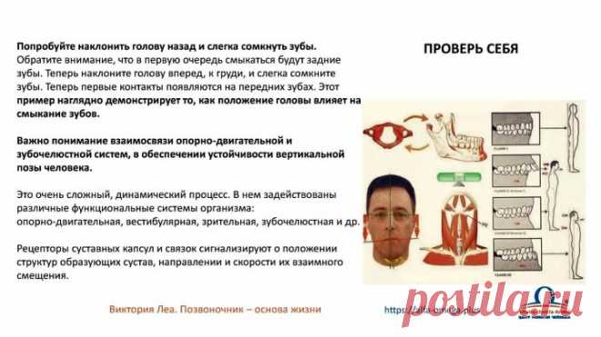Виктория Леа Здоровые зубы в любом возрасте! Бесконтактный метод