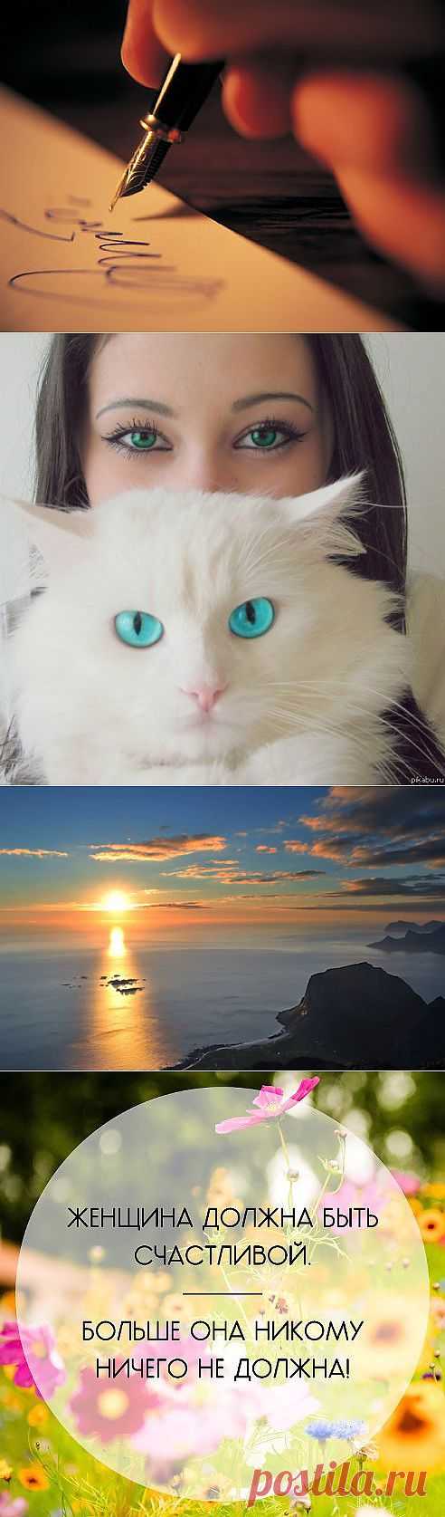 ����� ������� | VK