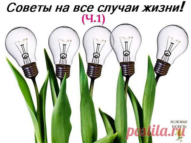 Полезные советы. | ШАГ НАВСТРЕЧУ