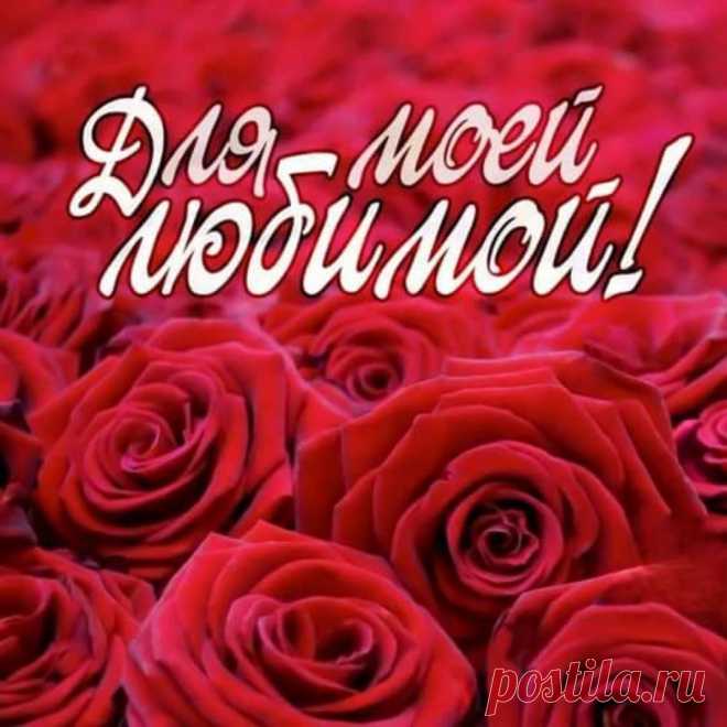 Ты мой смысл жизни, ты радость моя,
С тобою я жив, каждый миг я ловлю,
А все потому, что всем сердцем тебя,
Моя дорогая, родная, люблю!