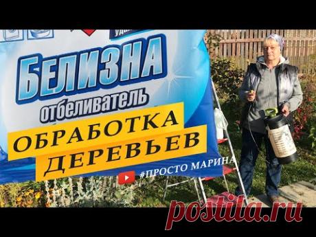 Опрыскивание сада и лечение ржавчины на груше белизной осенью.